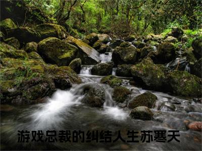 游戏总裁的纠结人生苏寒天（游戏总裁的纠结人生苏寒天）微小说-游戏总裁的纠结人生苏寒天最新章节免费阅读