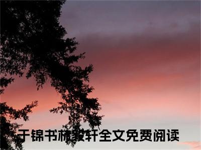 于锦书林毅轩（于锦书林毅轩小说）全文免费阅读无弹窗大结局_（于锦书林毅轩）于锦书林毅轩最新章节列表笔趣阁（于锦书林毅轩）