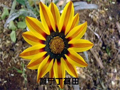 简宁丁有田（简宁丁有田）全文在线阅读无弹窗大结局_(简宁丁有田在线阅读)最新章节列表_笔趣阁（简宁丁有田）