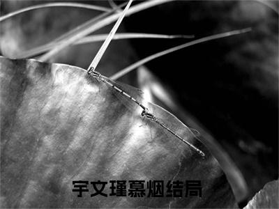 宇文瑾慕烟（宇文瑾慕烟）全文免费阅读大结局-宇文瑾慕烟最新章节列表笔趣阁