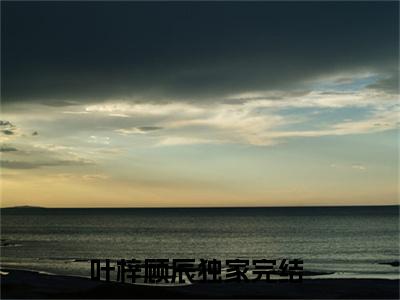 叶梓顾辰（叶梓顾辰）全文在线阅读无弹窗大结局_（叶梓顾辰）叶梓顾辰最新章节列表_笔趣阁（叶梓顾辰）