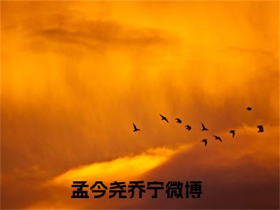 孟今尧乔宁（孟今尧乔宁）全文免费阅读无弹窗大结局_孟今尧乔宁最新章节列表_
