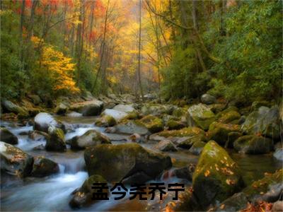 精选好书（孟今尧乔宁），孟今尧乔宁全文无删减版在线阅读