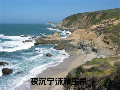 超多人求的小说（夜沉宁沫晴）在哪里看免费的夜沉宁沫晴精彩阅读