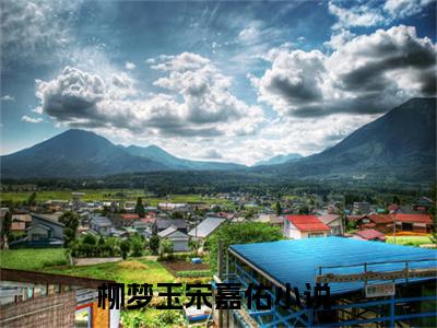 柳梦玉宋嘉佑全文免费阅读无弹窗大结局_（柳梦玉宋嘉佑）全文在线阅读大结局