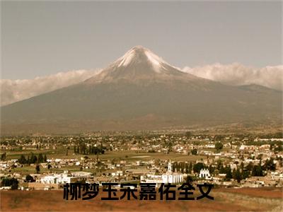 柳梦玉宋嘉佑是什么小说-（柳梦玉宋嘉佑全文阅读）最新章节列表