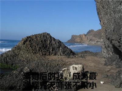 离婚后的我，成为最强捉鬼天师张不染小说最新章节试读_离婚后的我，成为最强捉鬼天师张不染是(离婚后的我，成为最强捉鬼天师张不染)小说主角热门推荐_笔趣阁