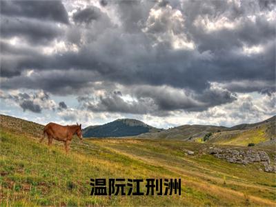 温阮江刑洲（温阮江刑洲）全文免费阅读-温阮江刑洲最新章节在线阅读