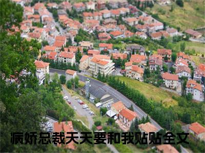 程墨宁千夜全文免费阅读_（病娇总裁天天要和我贴贴免费阅读无弹窗）程墨宁千夜最新章节列表笔趣阁