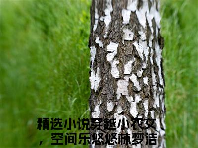 穿越小农女，空间乐悠悠林梦洁（穿越小农女，空间乐悠悠林梦洁）全集免费阅读无弹窗_(穿越小农女，空间乐悠悠林梦洁小说免费阅读)_笔趣阁