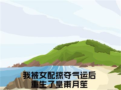 我被女配掠夺气运后重生了皇甫月笙(我被女配掠夺气运后重生了皇甫月笙)是什么小说-美文赏析我被女配掠夺气运后重生了皇甫月笙抖音热文分享
