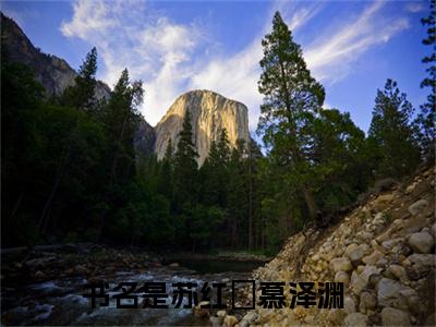 苏红葉慕泽渊热门小说全文免费阅读无弹窗大结局-苏红葉慕泽渊全文无弹窗免费阅读大结局