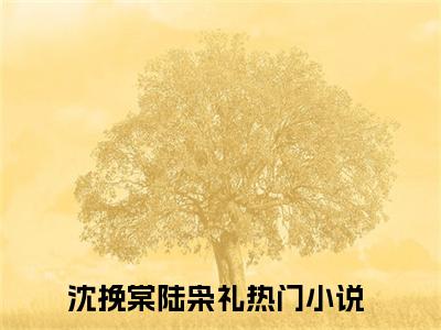 沈挽棠陆枭礼(沈挽棠陆枭礼)全文免费阅读无弹窗大结局_（沈挽棠陆枭礼）的小说最新章节列表