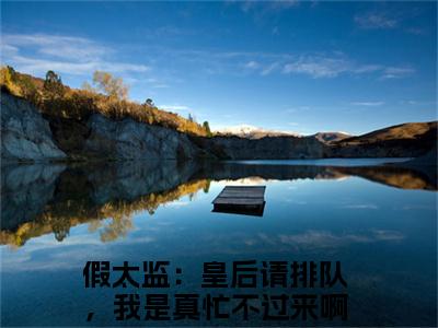 假太监：皇后请排队，我是真忙不过来啊袁欢人气小说全本免费阅读