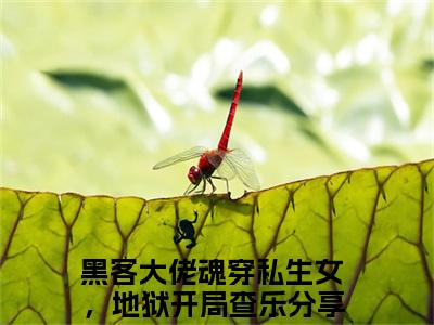 黑客大佬魂穿私生女，地狱开局查乐在线阅读小说推荐-黑客大佬魂穿私生女，地狱开局查乐免费阅读全文