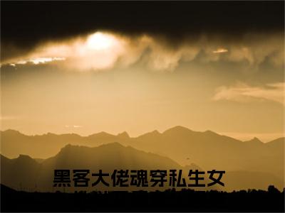 黑客大佬魂穿私生女，地狱开局查乐(黑客大佬魂穿私生女，地狱开局查乐)在线阅读无弹窗大结局-黑客大佬魂穿私生女，地狱开局查乐小说最新章节阅读_笔趣阁（黑客大佬魂穿私生女，地狱开局查乐）