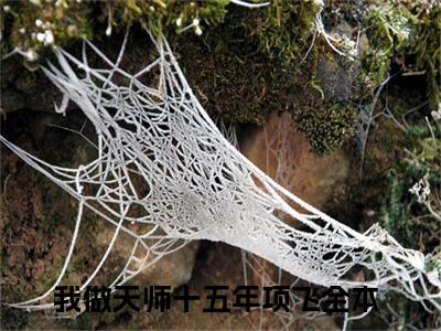 我做天师十五年项飞小说讲的是什么-我做天师十五年项飞精彩章节目录观看