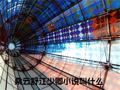 今日阅读更新桑云舒江少卿-桑云舒江少卿全文免费完整版