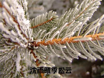 《沈雨晴季松云》全文免费阅读最新章节大结局-沈雨晴季松云无弹窗阅读