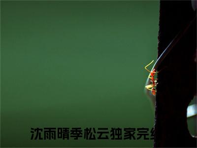 精选好书沈雨晴季松云全文免费阅读无弹窗大结局_（沈雨晴季松云）最新章节列表_笔趣阁（沈雨晴季松云小说）