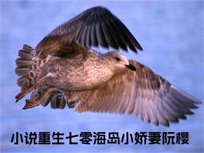 重生七零海岛小娇妻阮樱(重生七零海岛小娇妻阮樱小说)全文免费阅读无弹窗大结局_(重生七零海岛小娇妻阮樱小说免费阅读全文大结局)最新章节列表_笔趣阁（重生七零海岛小娇妻阮樱小说）