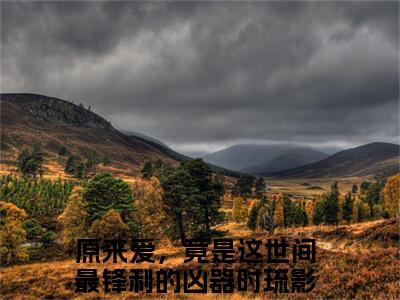 原来爱，竟是这世间最锋利的凶器时琉影（原来爱，竟是这世间最锋利的凶器时琉影）全文小说完整版-（原来爱，竟是这世间最锋利的凶器时琉影）原来爱，竟是这世间最锋利的凶器时琉影全文无删减免费阅读