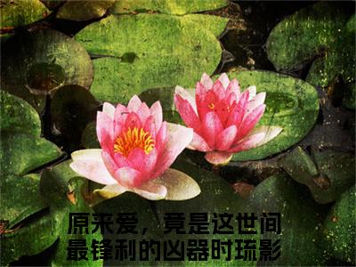 原来爱，竟是这世间最锋利的凶器时琉影（原来爱，竟是这世间最锋利的凶器时琉影）精彩小说-原来爱，竟是这世间最锋利的凶器时琉影小说全文无删减版免费阅读