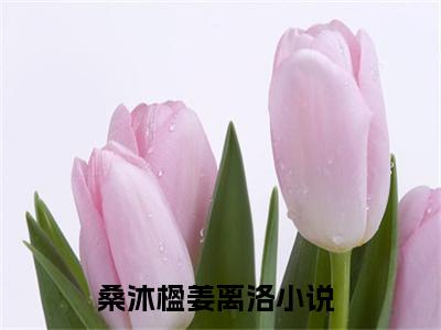 桑沐楹姜离洛小说（桑沐楹姜离洛）全文免费阅读无弹窗大结局_桑沐楹姜离洛最新章节在线阅读
