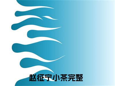 赵征宁小茶阅读无弹窗大结局_赵征宁小茶穿越小说免费阅读_笔趣阁