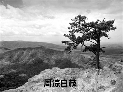 周淙白枝免费阅读大结局无弹窗-小说推荐周淙白枝精彩章节在线阅读