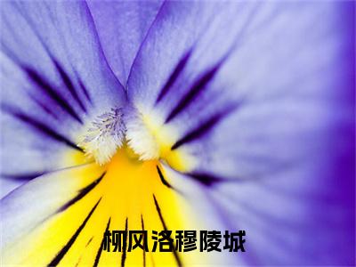 柳风洛穆陵城（柳风洛穆陵城 ）全文免费阅读_柳风洛穆陵城言诺诺，井傅宸 小说最新章节列表笔趣阁