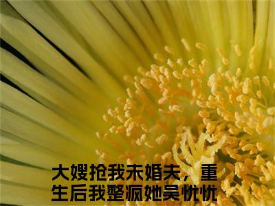 大嫂抢我未婚夫，重生后我整疯她吴忧忧（大嫂抢我未婚夫，重生后我整疯她吴忧忧)全文免费阅读无弹窗大结局_大嫂抢我未婚夫，重生后我整疯她吴忧忧全文免费阅读_笔趣阁（大嫂抢我未婚夫，重生后我整疯她吴忧忧）