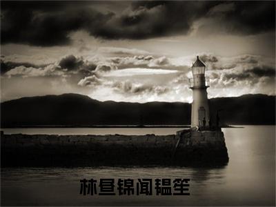 林昼锦闻韫笙全文免费阅读无弹窗大结局_（林昼锦闻韫笙阅读无弹窗）隐婚暗诱，闻先生日日心动最新章节列表_笔趣阁（隐婚暗诱，闻先生日日心动）