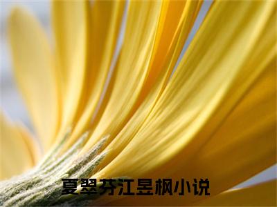 夏翠芬江昱枫完整版最新小说大结局-夏翠芬江昱枫最新章节免费阅读