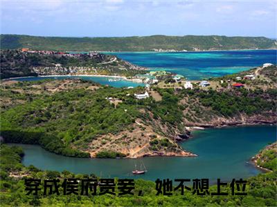 云荞全文免费阅读无弹窗大结局_（穿成侯府贵妾，她不想上位）云荞小说免费阅读完整版全文大结局