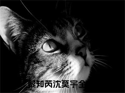 黎知芮沈莫宇小说全文免费在线阅读-黎知芮沈莫宇全文试读最新章节列表