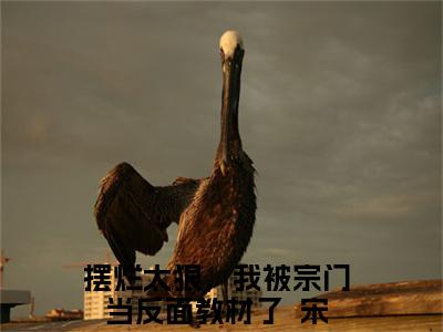 摆烂太狠，我被宗门当反面教材了  宋以枝全文阅读-容月渊小说免费阅读-笔趣阁