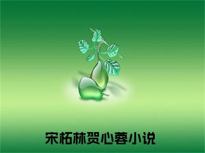 宋柘林贺心蓉（宋柘林贺心蓉）全文小说在线阅读-宋柘林贺心蓉全章节最新阅读