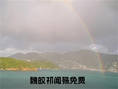 魏皎祁闻殊免费小说-魏皎祁闻殊已更新最新章节