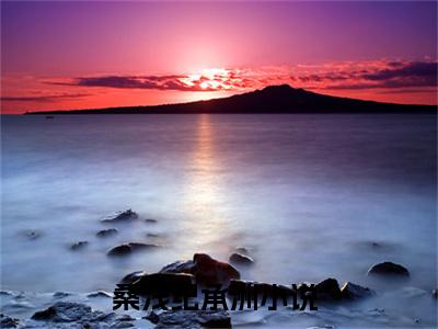 桑浅纪承洲多人追免费无弹窗小说，桑浅纪承洲已完结全集大结局