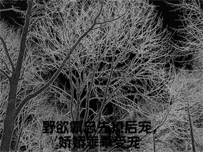霍铭宬顾瑶苒（野欲霸总先撩后宠，娇娇乖乖受宠）精彩热门小说-霍铭宬顾瑶苒全章节免费阅读