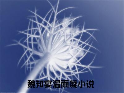 魏知宴温雨凝经典小说无广告小说免费阅读 魏知宴温雨凝全章节免费阅读