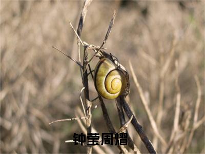 哭包父女就是好，撒泼打滚追我跑（钟莹周熠）全文免费阅读无弹窗_（钟莹周熠）小说全文免费阅读最新章节_笔趣阁