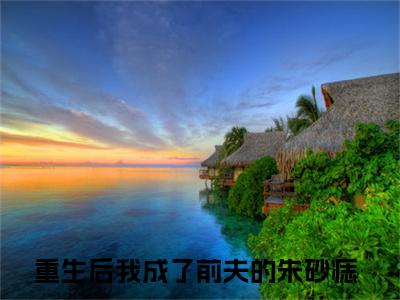重生后我成了前夫的朱砂痣小说（沈烨苏沫）全文免费阅读-重生后我成了前夫的朱砂痣精彩章节在线阅读