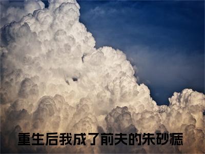 沈烨苏沫小说全文免费阅读-重生后我成了前夫的朱砂痣小说最新章节列表