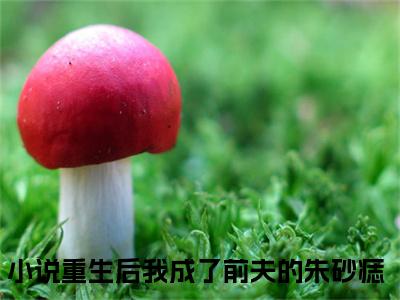 重生后我成了前夫的朱砂痣（沈烨苏沫小说全文）在线阅读无弹窗大结局-重生后我成了前夫的朱砂痣全文无删减版阅读
