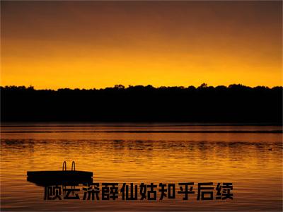 顾云深薛仙姑免费小说，顾云深薛仙姑全文免费阅读无弹窗大结局