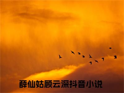 薛仙姑顾云深全文免费完整版-薛仙姑顾云深小说阅读