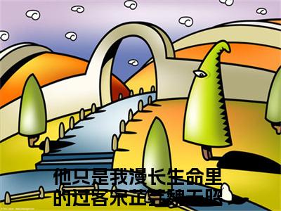 宋芷芸魏无昭免费小说全文免费阅读无弹窗大结局_他只是我漫长生命里的过客完结版在线阅读