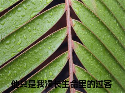 宋芷芸魏无昭最新章节（他只是我漫长生命里的过客）全文免费阅读无弹窗大结局_他只是我漫长生命里的过客小说全文免费阅读正版无弹窗